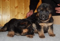 /album/a20-days/stence-e-vrh-061-jpg/